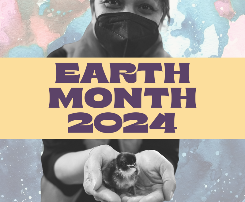 Earth Day 2024 Graphic