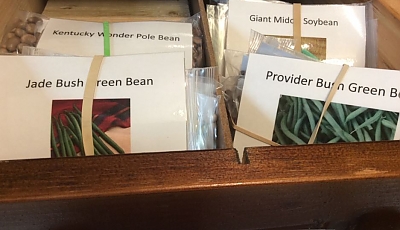 many seed packets in a wooden drawer banner