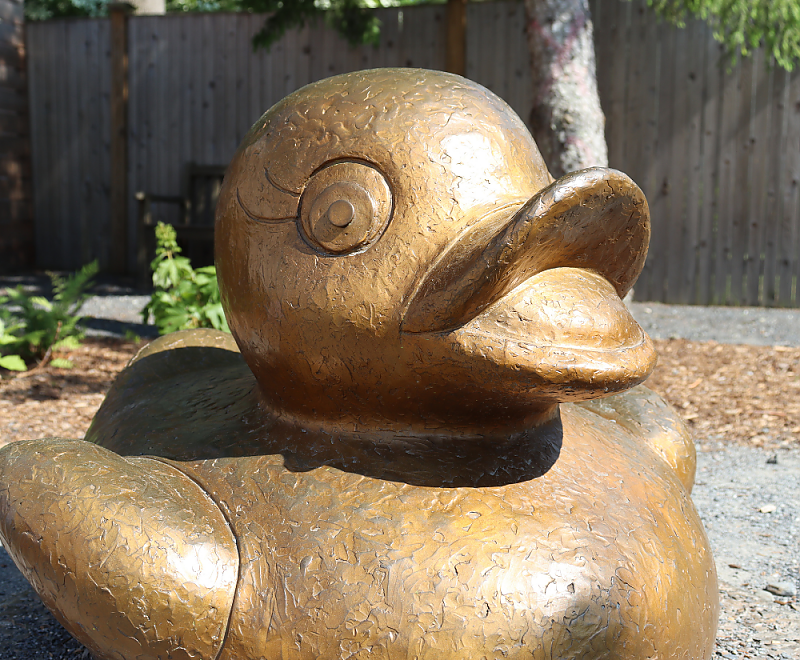 the Millie the duck statue in the Children's Garden background image