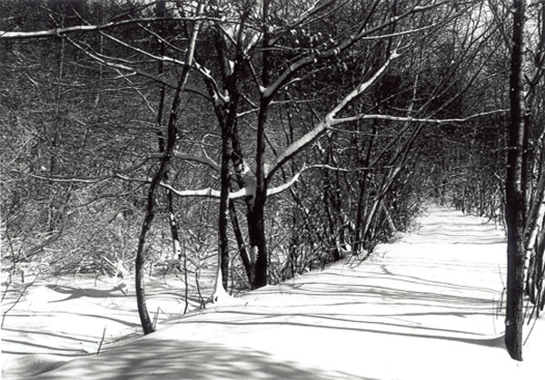 Road through Brister's Swamp, heavy snow, February 17, 1902. -- no. 1902.2